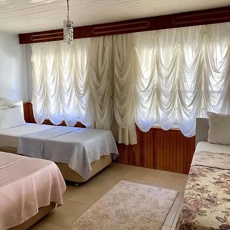 Asmali Bahce Muestakil Ev Daire Ayvalı
